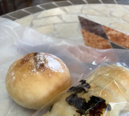 サニーベッカリーの写真・動画_image_529346