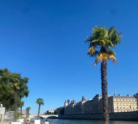 Paris Plagesの写真・動画_image_529704