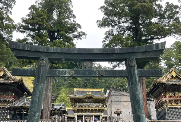 日光東照宮の写真・動画_image_530638
