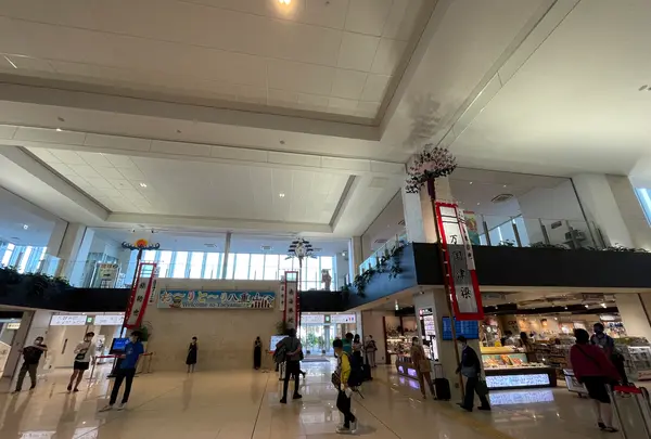 新石垣空港（南ぬ島石垣空港）の写真・動画_image_530735