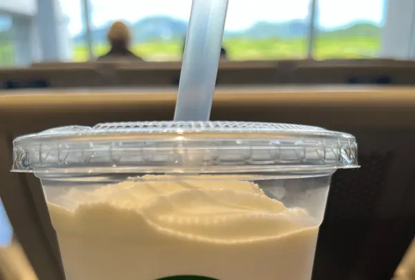 ユーグレナ石垣港離島ターミナルの写真・動画_image_530738