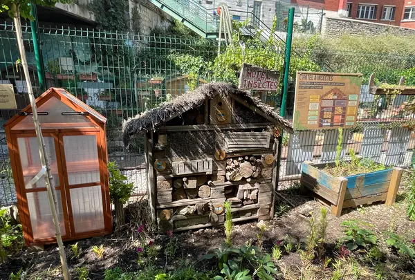 La recyclerieの写真・動画_image_530778