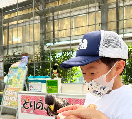 掛川花鳥園の写真・動画_image_531101