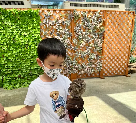 掛川花鳥園の写真・動画_image_531105