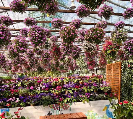 掛川花鳥園の写真・動画_image_531108