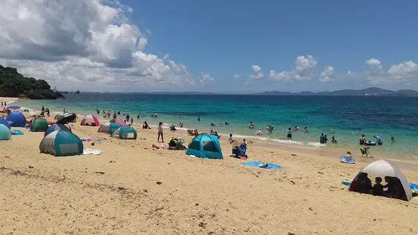 大泊ビーチの写真・動画_image_531281