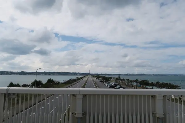 海の駅 あやはし館の写真・動画_image_531297