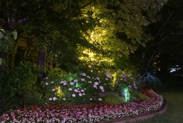 ホテルサンバレー那須の写真・動画_image_531463