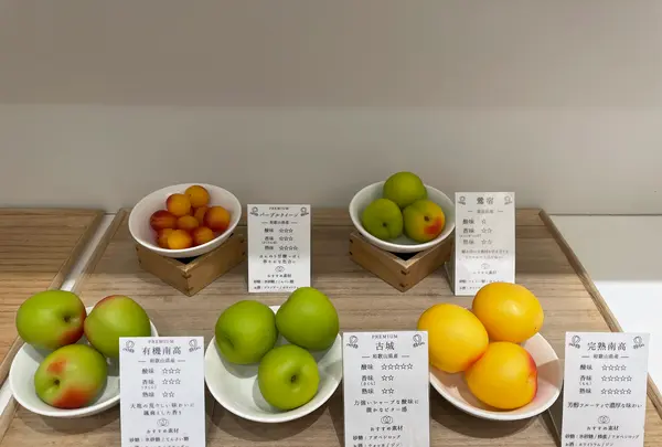 梅体験専門店 蝶矢の写真・動画_image_531685