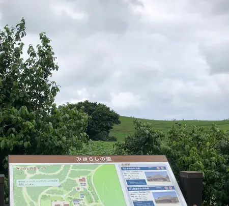 ひたち海浜公園の写真・動画_image_532075