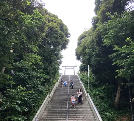 大洗磯前神社 神磯の鳥居の写真・動画_image_532283