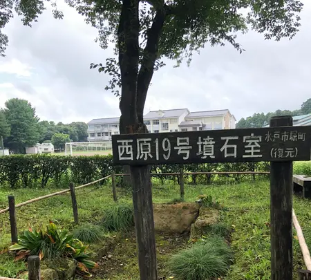 水戸市大串貝塚ふれあい公園の写真・動画_image_532429