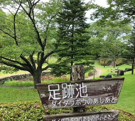 水戸市大串貝塚ふれあい公園の写真・動画_image_532430