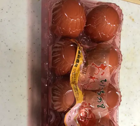 横須賀養鶏場の写真・動画_image_532443