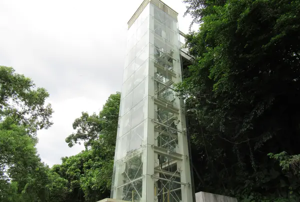 大渓橋の写真・動画_image_532557