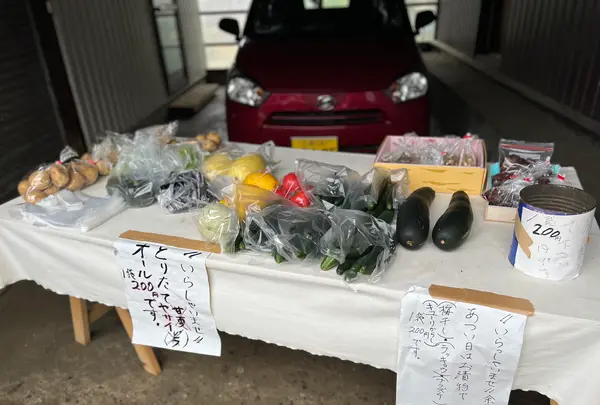 余白の写真・動画_image_532656