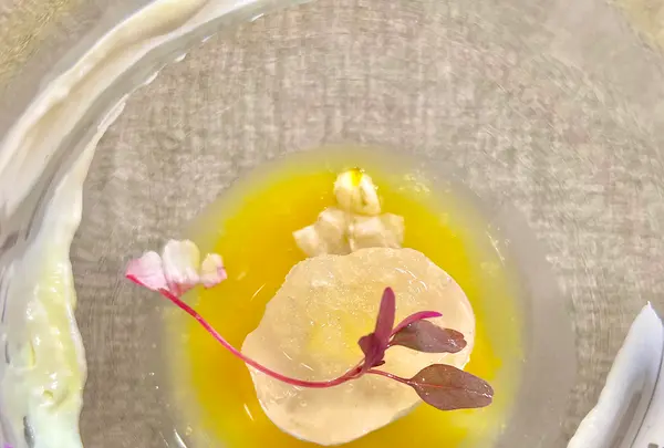 余白の写真・動画_image_532660