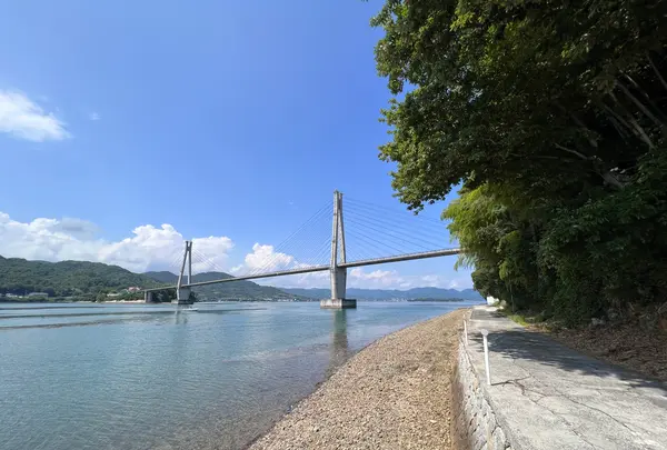 余白の写真・動画_image_532662