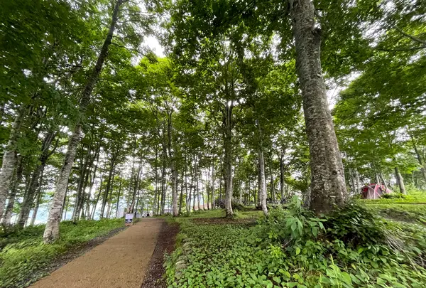 city bakeryの写真・動画_image_532695