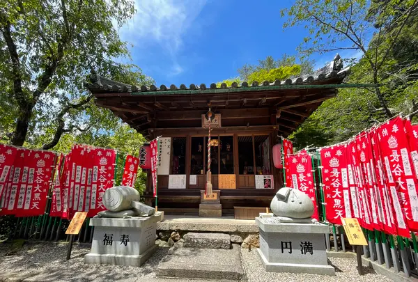 長谷寺の写真・動画_image_533602