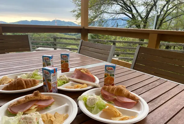  PICAさがみ湖の写真・動画_image_533810