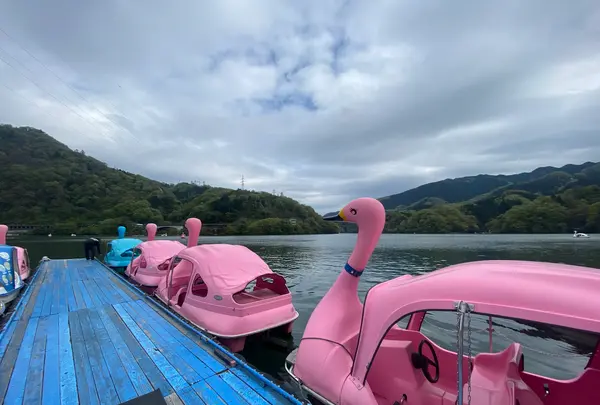 県立相模湖公園の写真・動画_image_533811