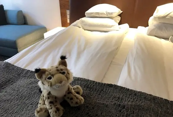 グロ ホテル クルービの写真・動画_image_533955