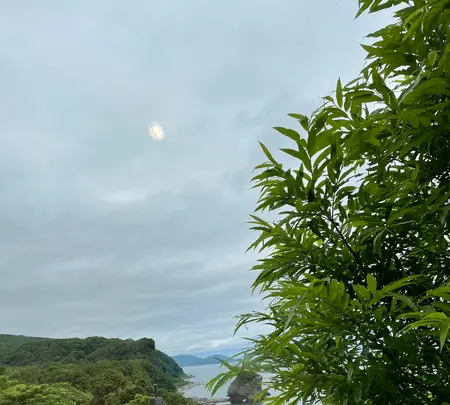 View Caféの写真・動画_image_533980