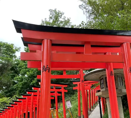 住吉神社の写真・動画_image_533999