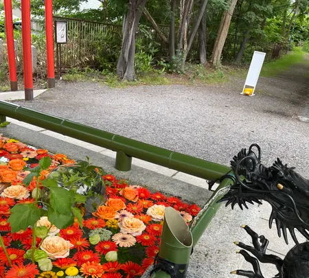 住吉神社の写真・動画_image_534001