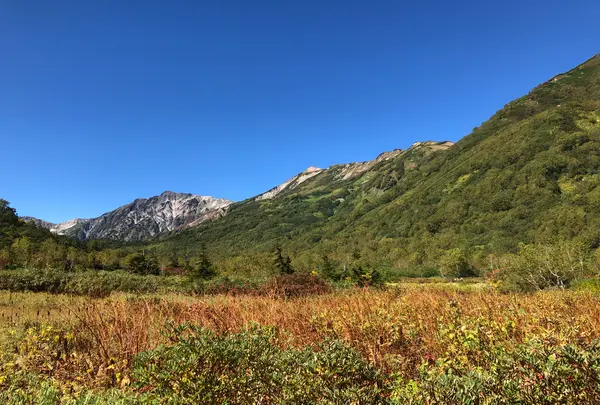 栂池自然園の写真・動画_image_534115