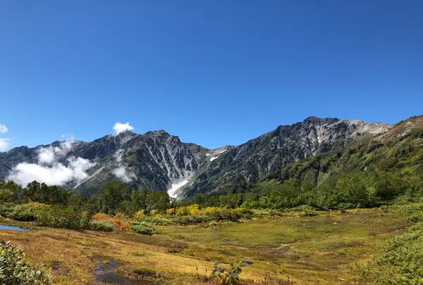 栂池自然園の写真・動画_image_534116