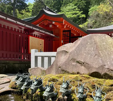 箱根神社の写真・動画_image_534173