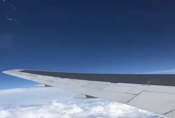函館空港の写真・動画_image_534179