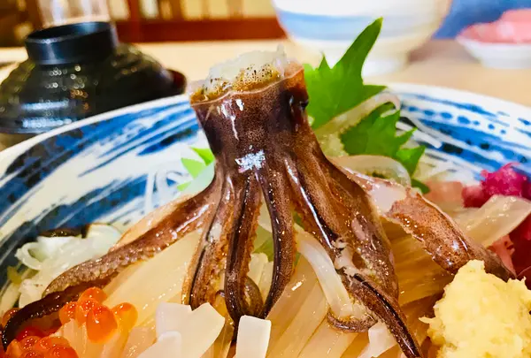 一花亭 たびじの写真・動画_image_534187