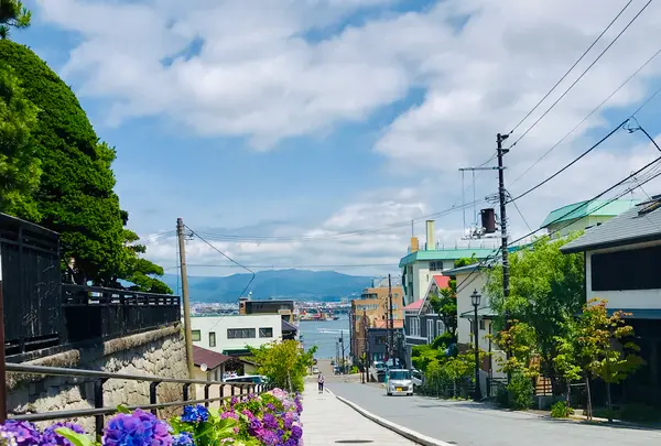 八幡坂の写真・動画_image_534188