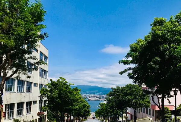 八幡坂の写真・動画_image_534189