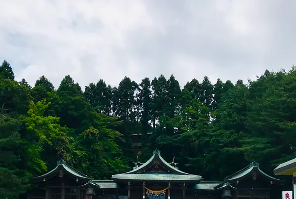 函館護国神社の写真・動画_image_534195