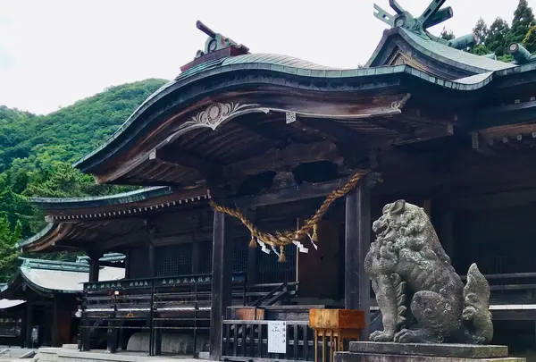 函館八幡宮の写真・動画_image_534199