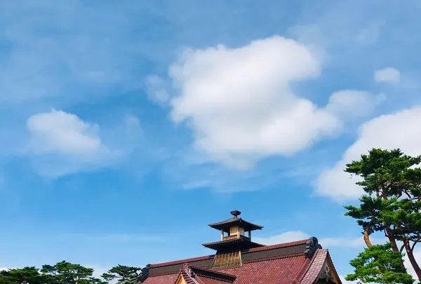 五稜郭公園の写真・動画_image_534203