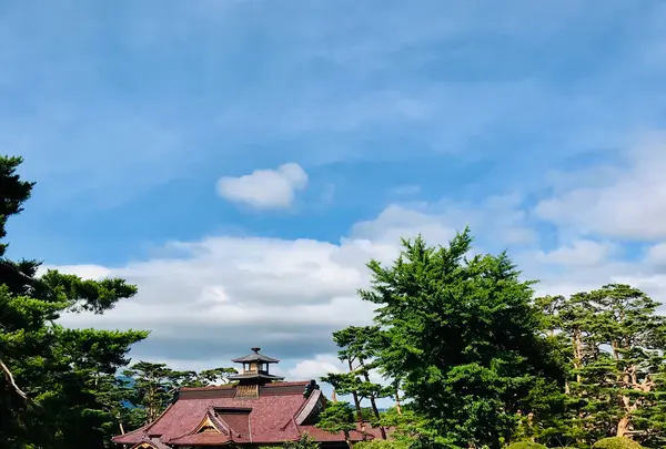 五稜郭公園の写真・動画_image_534204