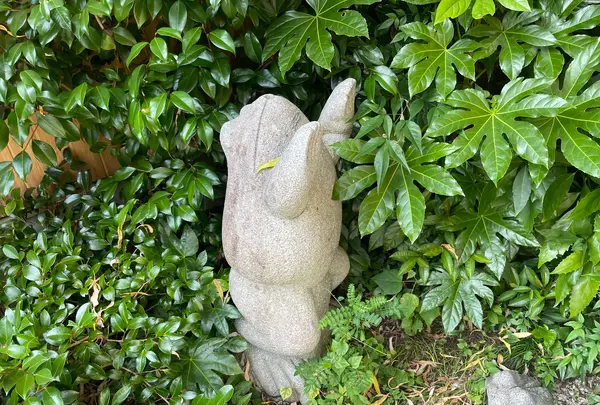 かえる神社の写真・動画_image_534311