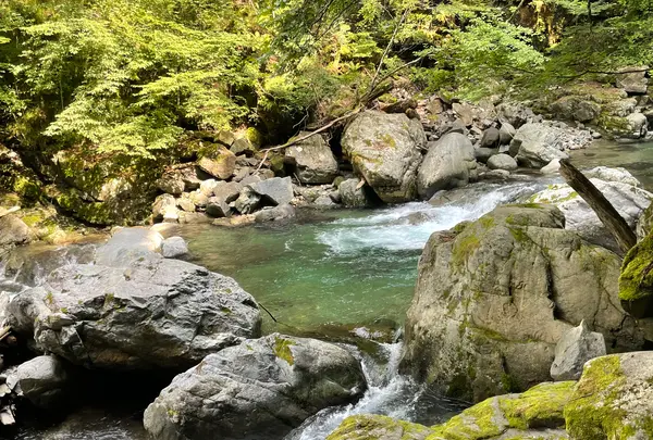 がんだて公園の写真・動画_image_534363