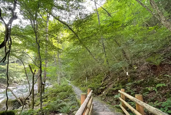 がんだて公園の写真・動画_image_534364