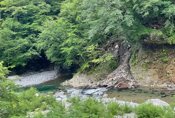 がんだて公園の写真・動画_image_534365