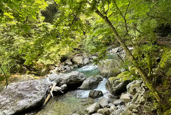 がんだて公園の写真・動画_image_534366