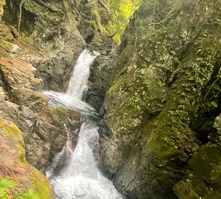 小坂の滝めぐりの写真・動画_image_534380