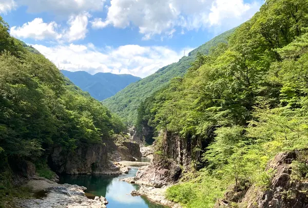 虹見の滝の写真・動画_image_534444