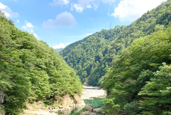 虹見の滝の写真・動画_image_534446