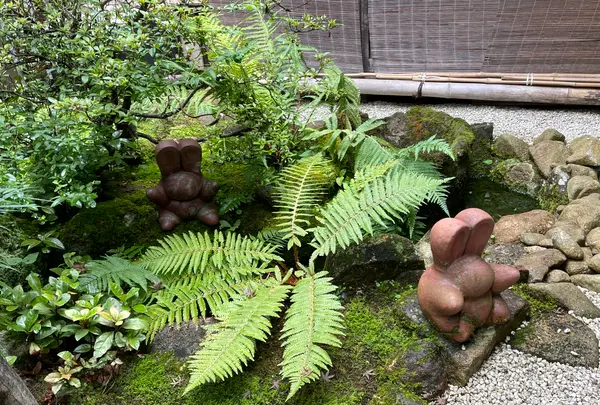 うさぎ舎の写真・動画_image_534586